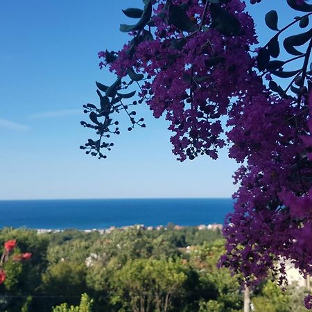 Vila Pogled Petrovac Ngoại thất bức ảnh