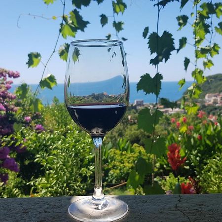 Vila Pogled Petrovac Ngoại thất bức ảnh