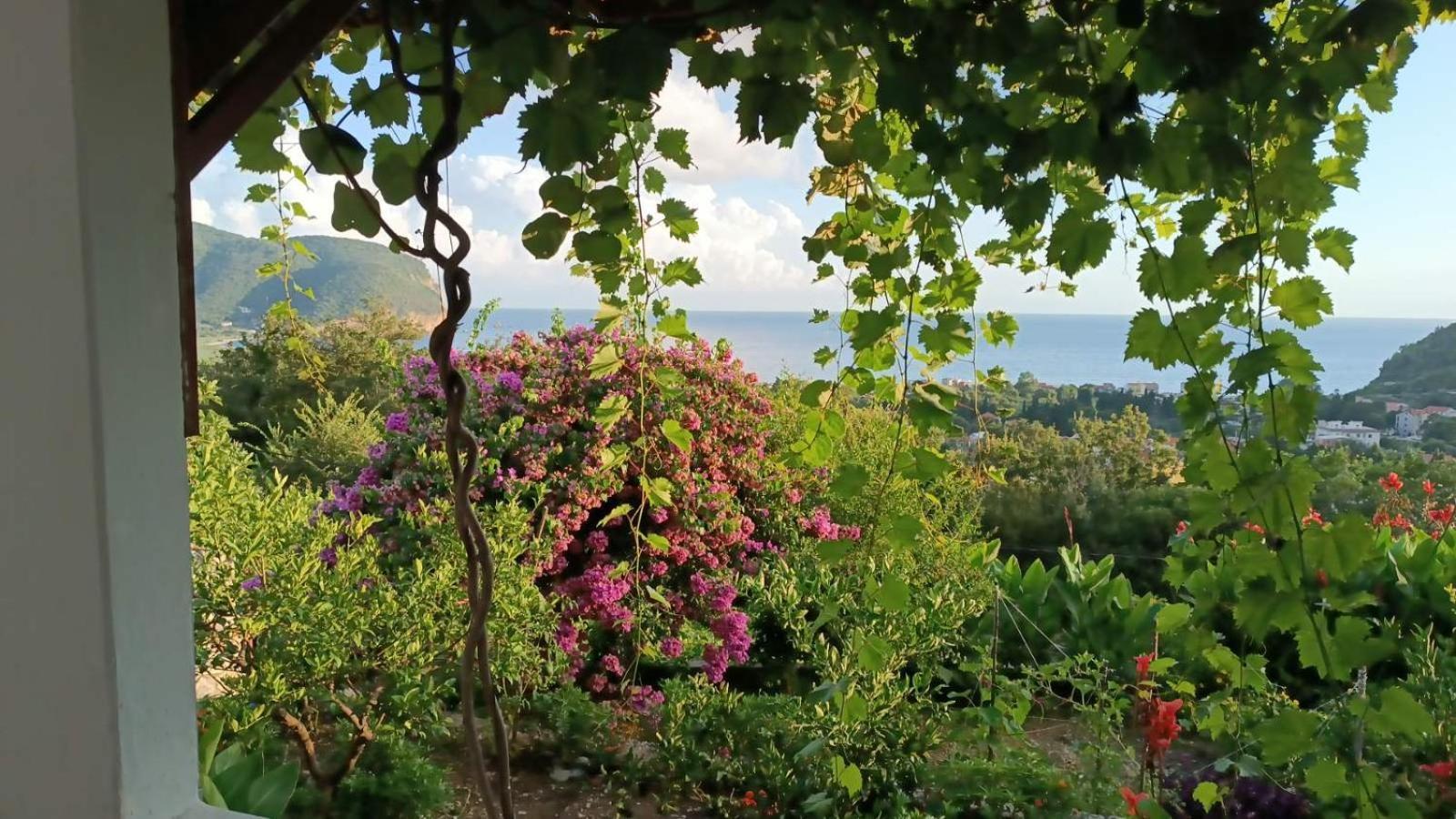 Vila Pogled Petrovac Ngoại thất bức ảnh
