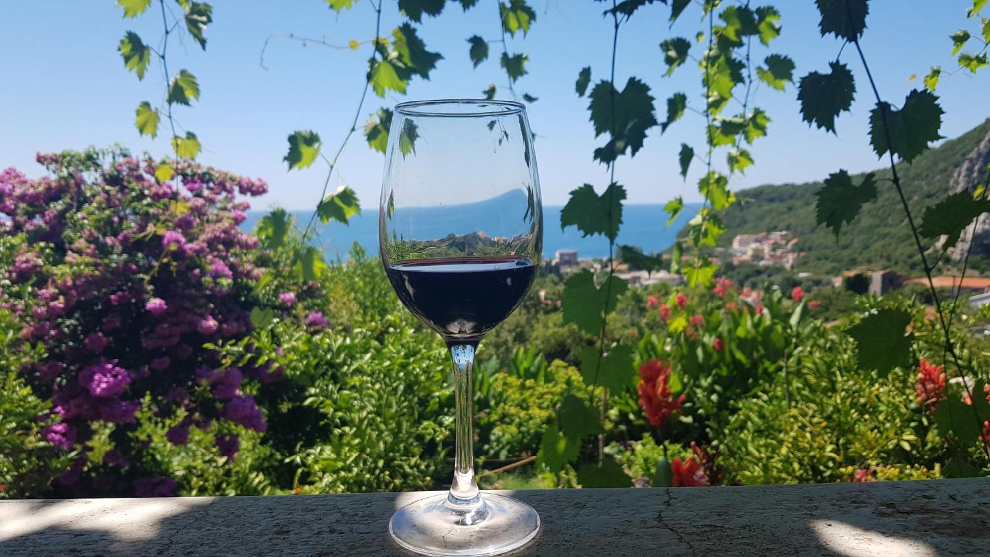 Vila Pogled Petrovac Ngoại thất bức ảnh
